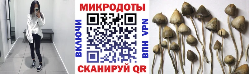 Галлюциногенные грибы MAGIC MUSHROOMS  сайты даркнета официальный сайт  Солнечногорск 