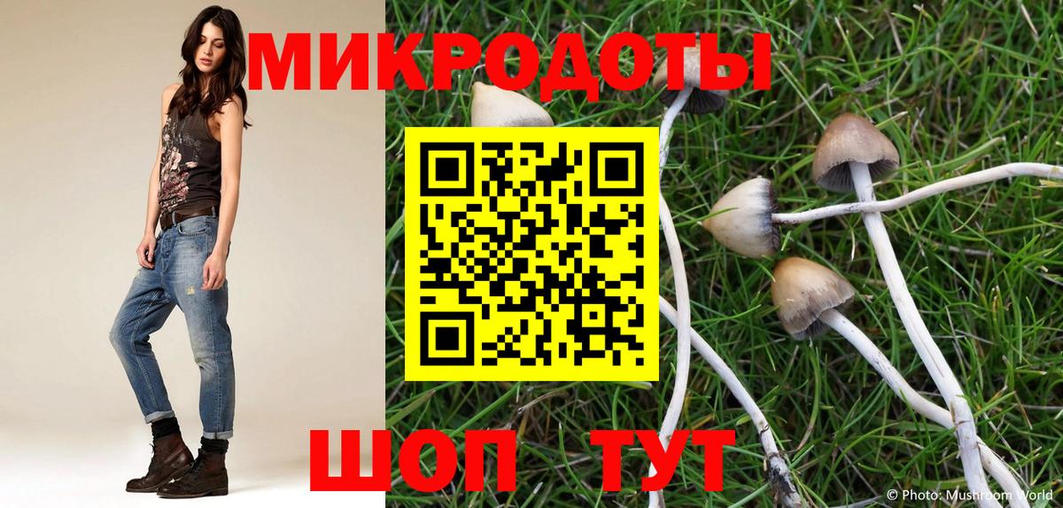 Галлюциногенные грибы Magic Shrooms Солнечногорск
